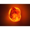 The Body Source Himalayan Salt Lamp 10-12 inches (11-15Ib), Includes