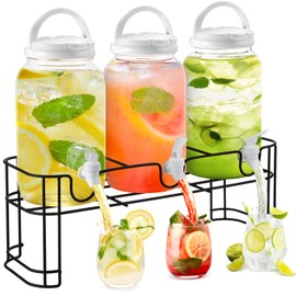 Tanlade Plastic Drink Dispenser with Stand Beverage Dispenser with Sturdy Metal Base Juice Dispensers for Parties Lemonade Jar with Spigot for Weddings Countertop, Each 1 Gallon (White)