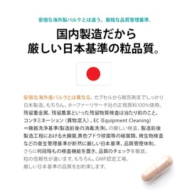 noi ピクノジェノール 200mg サプリメント フランス海岸松樹皮エキス 国産 ホーファーリサーチ社正規原料100% 28粒 100mg - 200mg