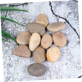 TEHAUX 10 Pack Hand Painted Stones Set with Bracket Kids DIY Rocks Natural 2-4cm Ideal for