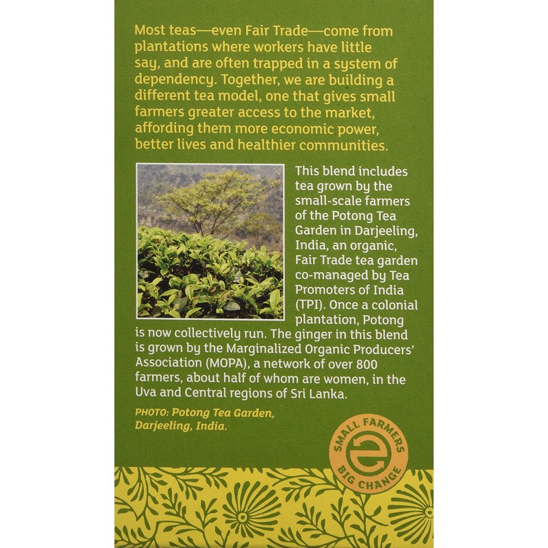 Equal Exchange Organic Green Tea with Ginger, 20 Count