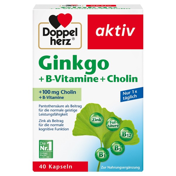 Doppelherz Ginkgo + B Vitamins + Choline - Dietary Supplement with Ginkgo, Vitamin B, Choline, Pantothenic Acid & Zinc to Support Mental Performance - 1 x 40 Capsules