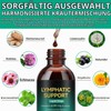Lymphatic Drainage Drops 60 ml | 6000 mg Extract with