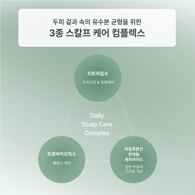 바이아우어 티트리 프레쉬 청소년 트리트먼트, 1L, 1개 Baiour Tea Tree