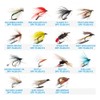 YZD Fly Fishing Flies Kit Fly Assortment Trout Bass Fishing