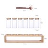 KKC HOME ACCENTS Glass Spice Jars set of 6 with