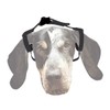 Black Webbing Dog EarLiifter (Large)
