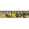 Set of 20 of Our Favorite Premium Variety 2020 Vegetable