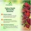 Outsidepride Wizard Mix Coleus Seeds for Planting - 200 Pcs