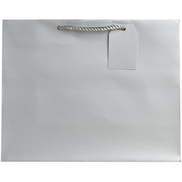 Jillson Roberts 6-Count Large 12.5" x 10" x 5" Gift Bags Available in 12 Solid Colors, Silver Matte
