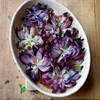 TomorrowSeeds - Ruby Red Onion Seeds - 1000+ Count -