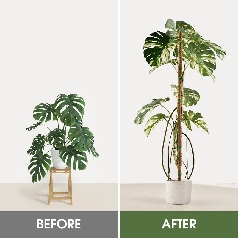 Handmade Coco Coir Moss Pole - 48 Inch Bendable Sticks