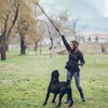 Flirt Pole for Dogs, Extendable Dog Flirt Pole with Detachable
