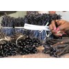 Premium Vanilla Beans, 6 Pieces, 15-16 cm Long, Packed in
