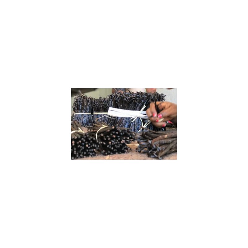 Premium Vanilla Beans, 6 Pieces, 15-16 cm Long, Packed in
