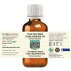 Devprayag Pure Holy Basil (Tulsi) Essential Oil (Ocimum Sanctum) Natural