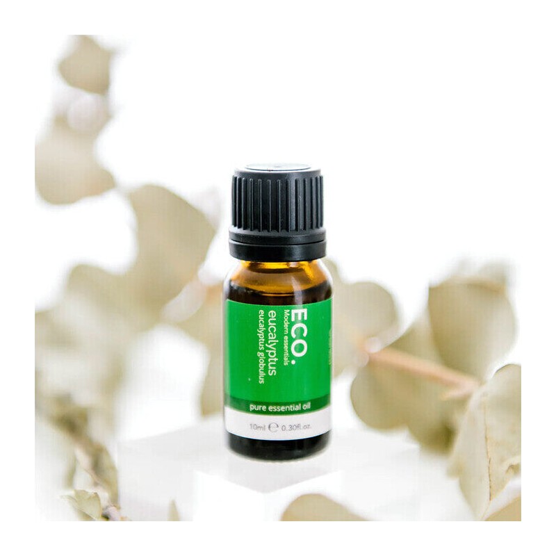 ECO. Modern Essentials Eucalyptus Pure Essential Oil, 10ml