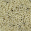 Smarty Stop Jelly Beans Every Flavor Candies (Vanilla, 2 Pound
