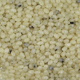 Smarty Stop Jelly Beans Every Flavor Candies (Vanilla, 2 Pound (Pack of 1))