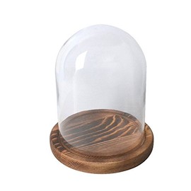 Reelva Decorative Glass Cloche Bell Jar Dome With wooden Base Tray Diameter for Flower Display DIY- 11(Dia)X15(H)CM