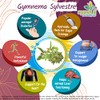 Ayushya Gymnema Sylvestre (Madhunaashini) Capsule, 500 mg Pure Extract, 60