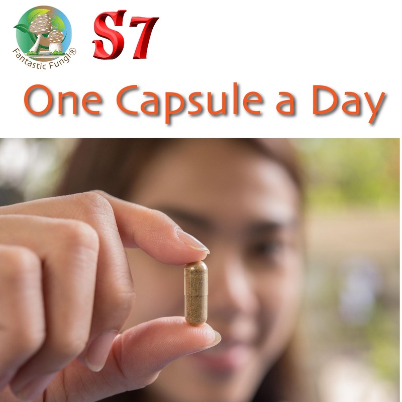 Fantastic Fungi NEW Fantastic Fungi Super 7 Mushroom Extract Capsules