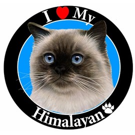 "I Love My Himalayan Cat" Car Magnet With Realistic Looking Himalayan Cat Photograph In The Center Covered In UV Gloss For Weather and Fading Protection Circle Shaped Magnet Measures 5.25 Inches Diameter