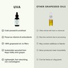 Salute Sante! UVA Face Oil