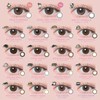 Color Con Frammy One Day FLANMY 1 day 1 box