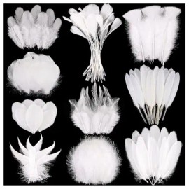 300 Pcs Small Feathers 10 Style Mixed Spotted Decorative Natual Pheasant Feather for DIY Crafts Clothing Jewelry Hair DecorationColor: White
