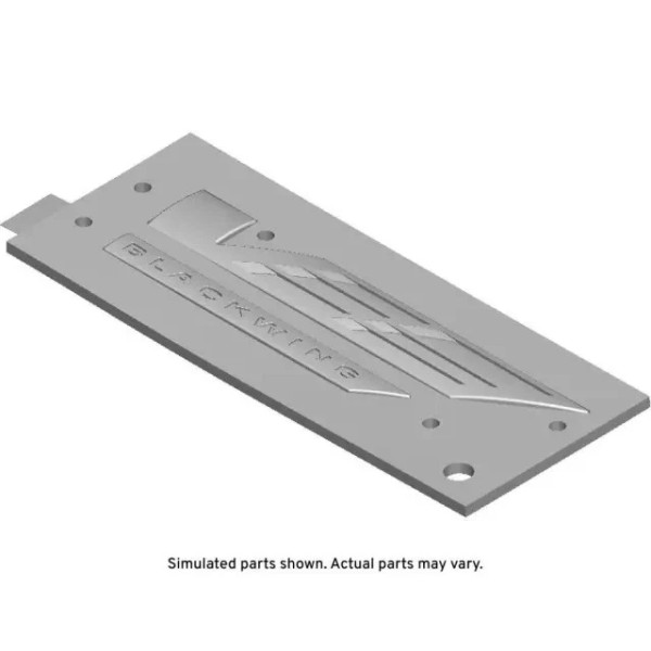 GM Genuine GM F Plate 86531580