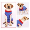 Dog Recovery Suit Stretchy Prevent Licking Adjustable Pet Post Surgery