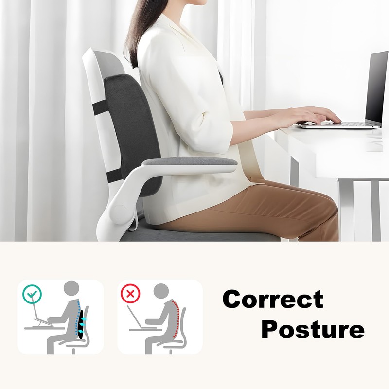 CILI Lumbar Support Pillow for Office Chair, Heated Back Support