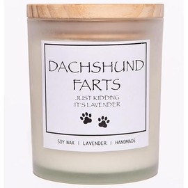 Dachshund Gifts,Dachshund Gifts for Women,Dachshund Decor,Weiner Dog Gifts for Women,Dachshund Candle,Weiner Dog Stuff,Weenie Dog Gifts,Wiener Dog Gifts,Weiner Dog Gifts, CWXX-01