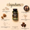 Vegavero Mushroom Complex | High Strength Extracts | Reishi, Cordyceps,