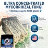 Great White Mycorrhizal Fungi 4 oz, Beneficial Bacteria for Plant