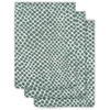 Jollein 536-848-65350 Hydrophilic Wash Cloth Hydrophilic Snake Ash Green (Pack