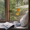HAOSUM Atrapasueños de hojas de arce, para colgar ventanas, decoración