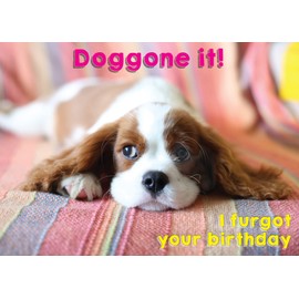 Glory To Dog Doggone It! I Furgot Your Birthday 7-by-5 Inches Belated Birthday Card (with a cute Cocker Spaniel) including Greeting Card Mailing Envelope…