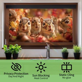 SHENGYUMY Autumn Squirrel Window Film 17.7 x 39.3 Inch Static Cling Fall Leaves Acorns Privacy Window Sticker No Glue Cute Animal Decorative Film for Kids Room Kitchen Bathroom Glass