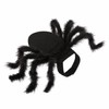 Spider Costume for Cats & Small Dogs – Black Halloween