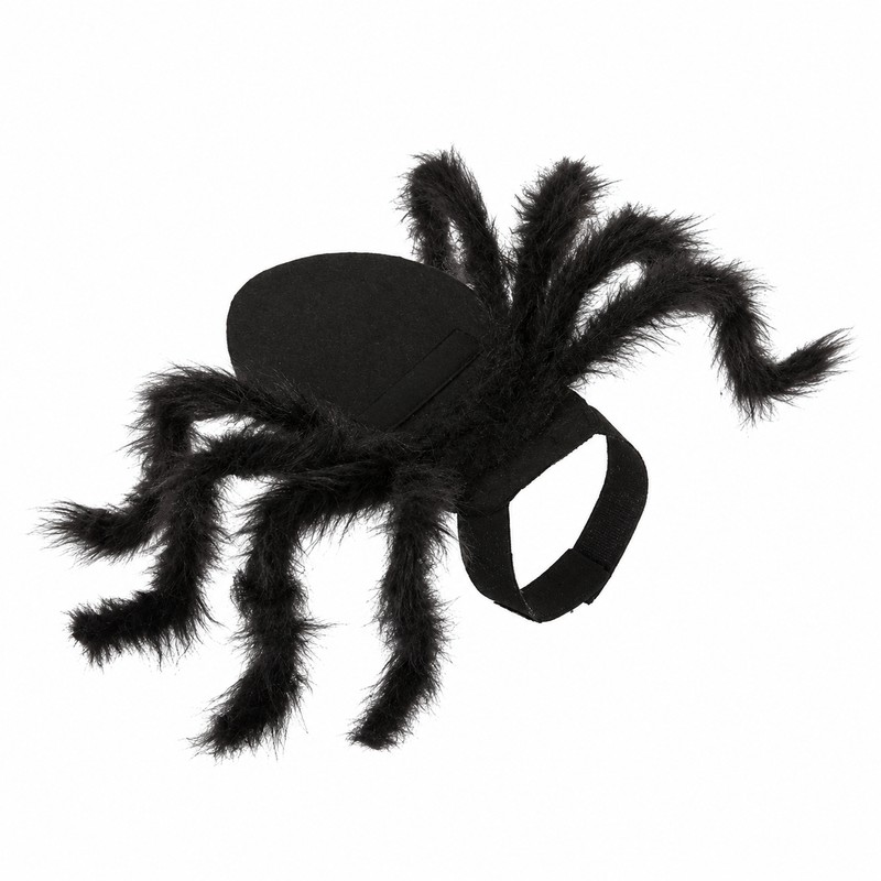 Spider Costume for Cats & Small Dogs – Black Halloween