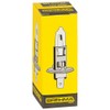 BREHMA 10x H1 12V 55W Halogen Car Lamp P14.5s