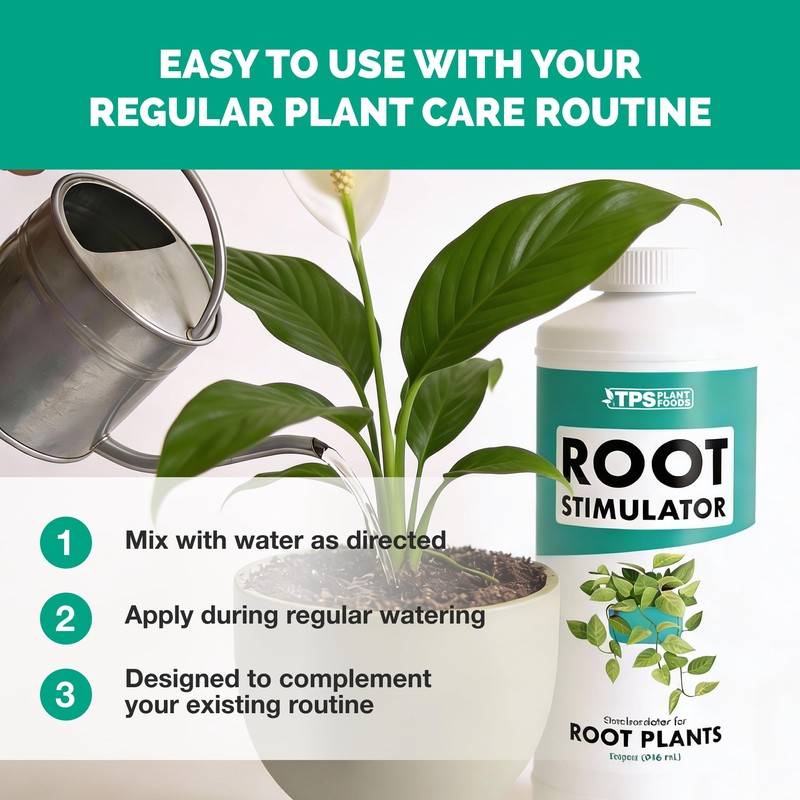 Root Stimulator for Houseplants – Liquid Root Supplement with Kelp