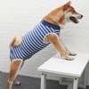 Dog Body After Surgery Castration Wound Protection Suit (L, Blue