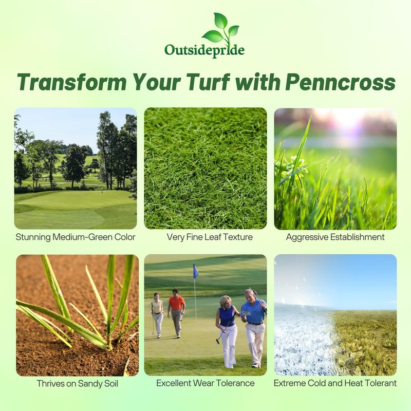 Outsidepride PC2.0 (Penncross) Creeping Bent Grass Seed – 1 lb.