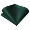 Dark Green Ties for Men Plaid Handkerchief Woven Classic Necktie