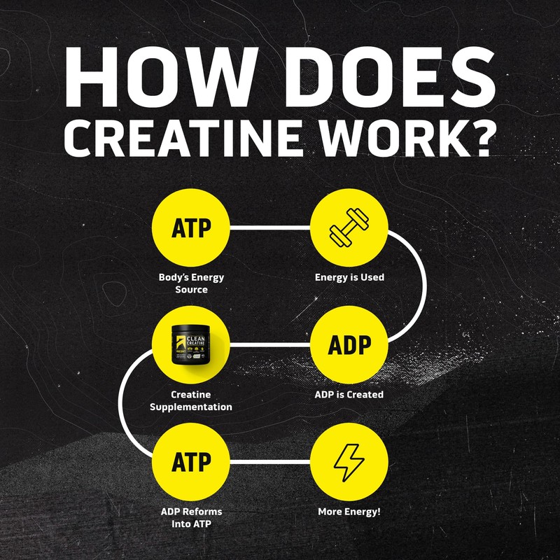 Ascent Clean Creatine Monohydrate Powder - 5G Per Serving, Creapure