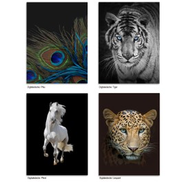 Kinzler Blanket Multi-Coloured 150 x 200 cm