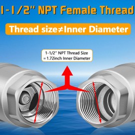 Boltigen 1-1/2 inch Spring Check Valve, 304 Stainless Steel CF8 Non Return One Way Horizontal Check Valve, Vertical Inline Water Check Valve for Well, Pump, Tank, Backflow Prevention, WOG 1000